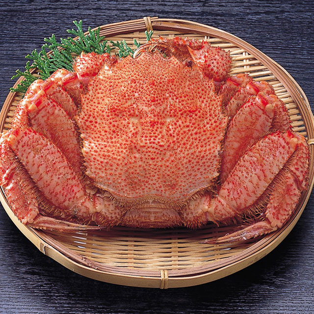 北海道産★ボイル冷凍毛蟹(約500g)★蟹味噌タップリ★毛ガニ・蟹の甲羅焼き ≪送料無料≫【北海道産 ボイル毛蟹 500g×2尾】濃厚なカニ味噌が