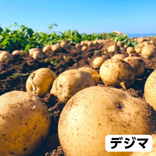 全ての商品 :: 食品・飲料 :: 長崎県雲仙の『売り切れ続出！超