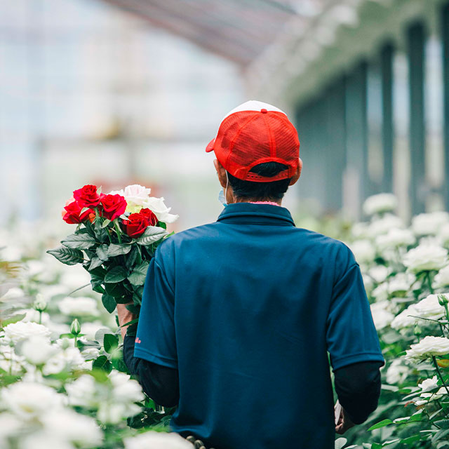 生放送てんじんnow!で紹介しました :: 1月25日放送分 生放送てんじん