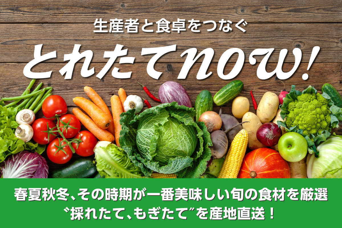 とれたてnow!