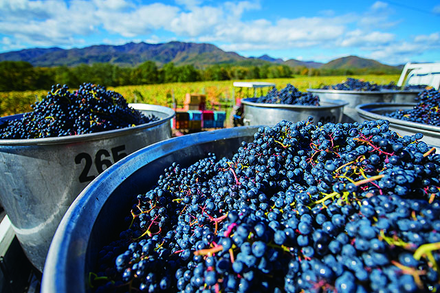 saida-3hon_005.jpg?1623730151939