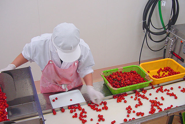 tomato_005.jpg?1623731650862